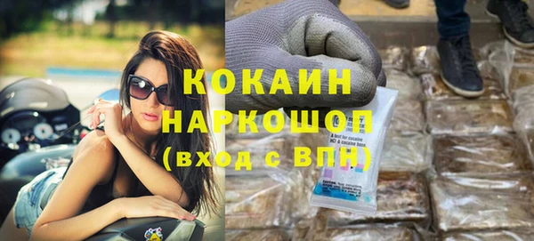 стафф Алексин