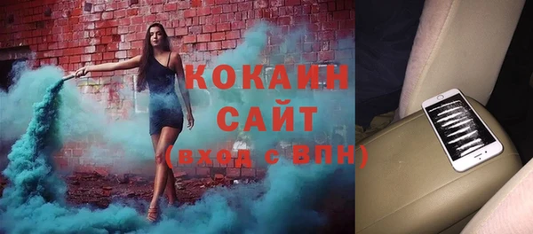стафф Алексин